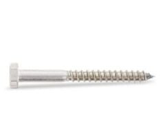 DIN 571 Paslanmaz Trifon Vida M10 - X 150