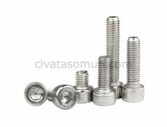 DIN 571 Paslanmaz Trifon Vida M6 - X 50