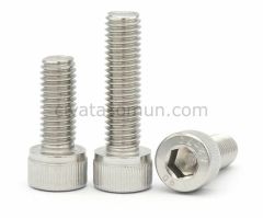 DIN 571 Paslanmaz Trifon Vida M8 - X 70
